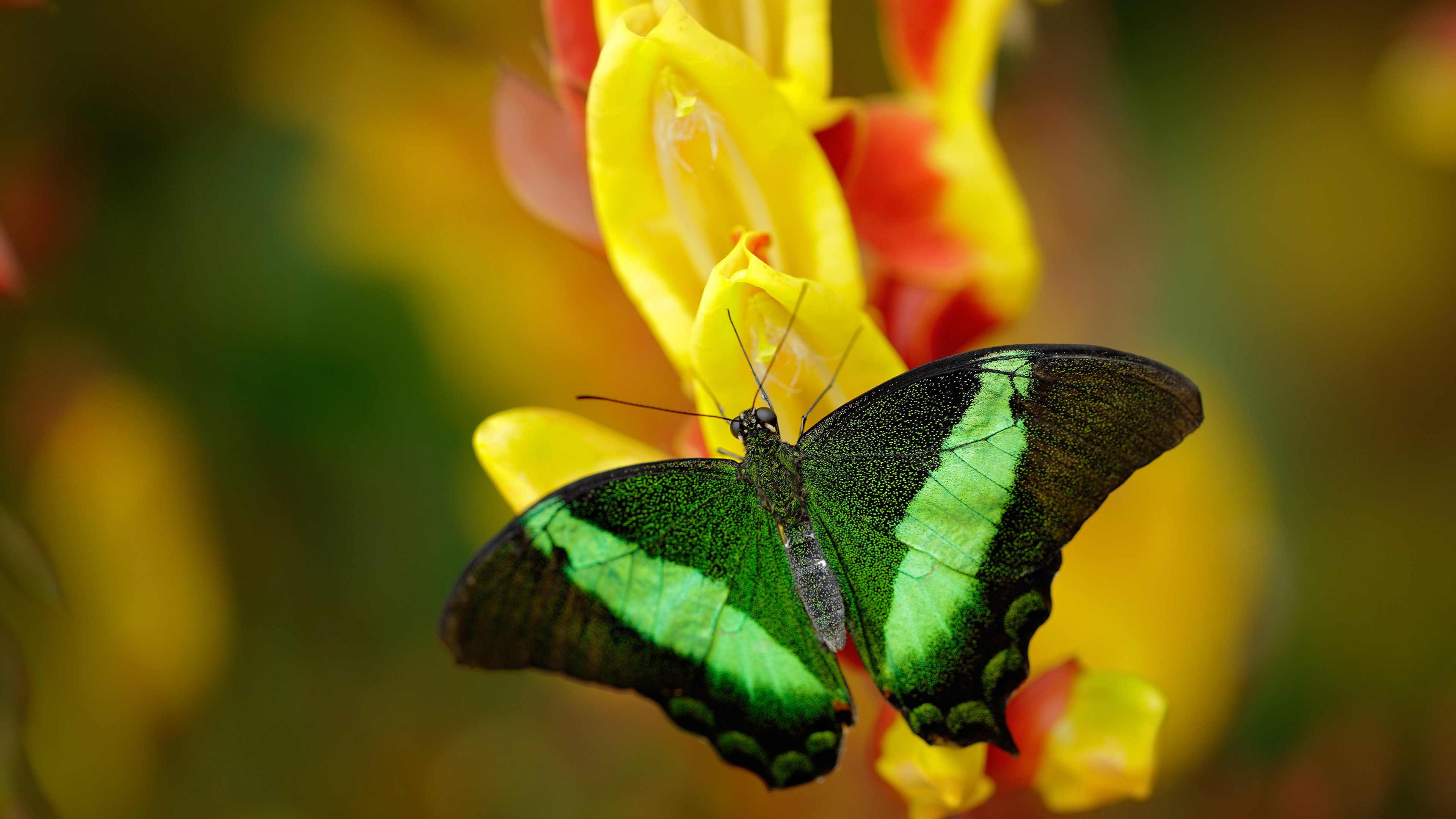 《CS_GO》新地图发布:地形分析与战术策略,csgo2020地图