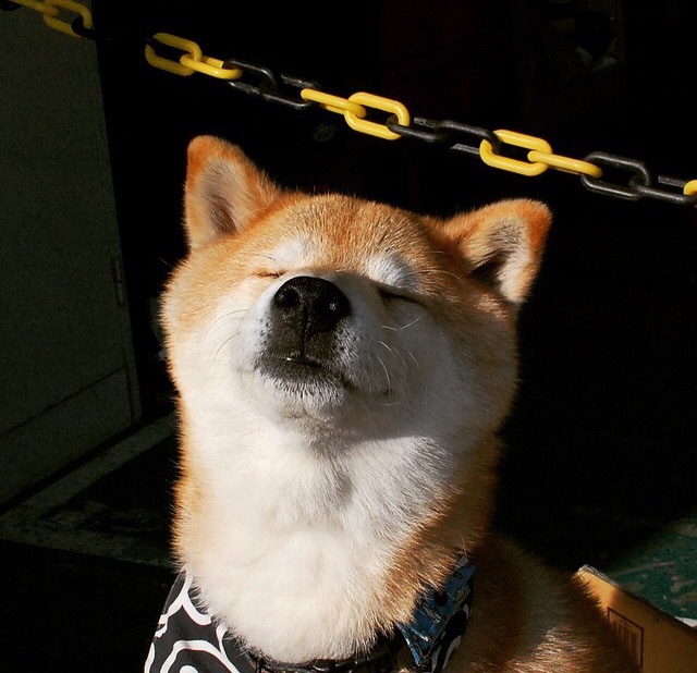 云游戏平台崛起:随时随地畅玩3A大作,云游戏玩大型游戏