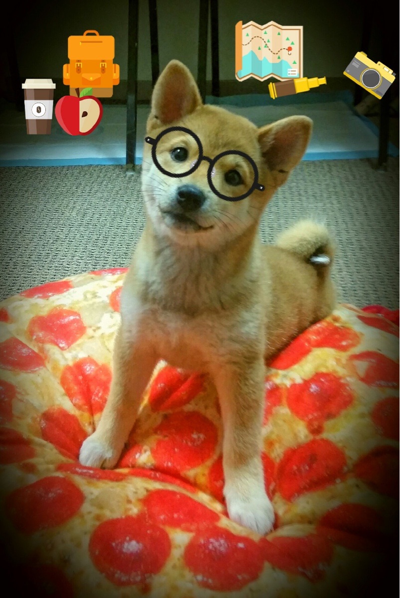 “法甲竞争激烈,悬念吊足胃口持续蔓延”,法甲排位