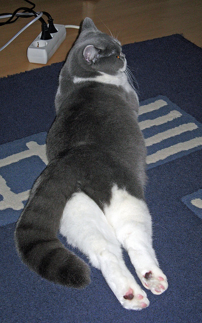 《创新玩法:电竞赛事引入AR技术》,电竞领域中ai技术