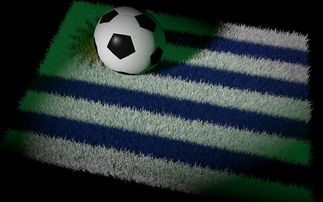 开云网址-中国足球国家队备战世界杯预选赛全面展开，中国足球队 世界杯预选赛