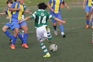 Kaiyun APP-国际足球协会推动足球全民普及，青少年参与度飙升，各国青少年足球注册人口